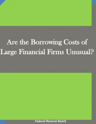 Kniha Are the Borrowing Costs of Large Financial Firms Unusual? Federal Reserve Board