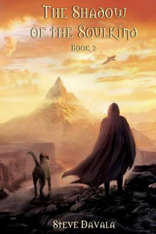 Kniha The Shadow of the Soulkind: Book 2 Steve Davala