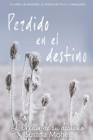 Kniha Perdido en el destino: La llave de su destino Susana Mohel