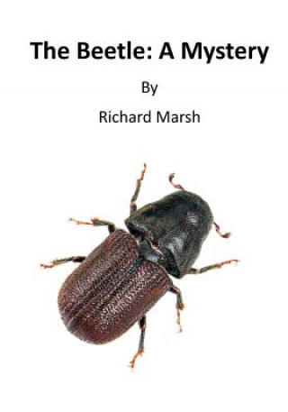 Książka The Beetle: A Mystery Richard Marsh