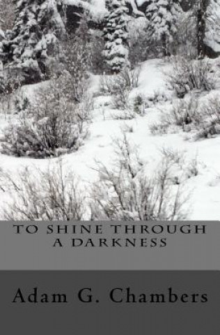 Könyv To Shine Through A Darkness Adam G Chambers