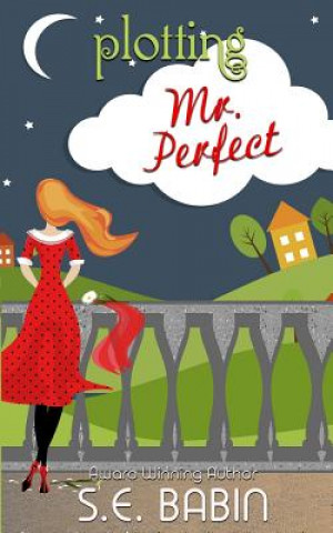 Buch Plotting Mr. Perfect S E Babin