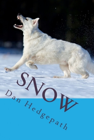 Książka Snow: A Sean Tzu Mystery Thriller MR Dan Hedgepath