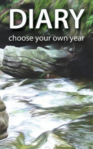 Kniha Diary - choose your own year Gee Myster