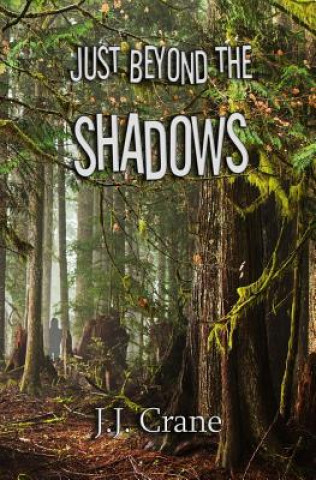 Buch Just Beyond the Shadows Jj Crane