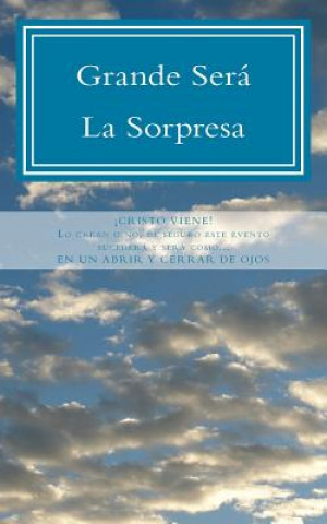 Kniha Grande Será La Sorpresa: En un abrir y cerrar de ojos Wanda Rodriguez Aguilar