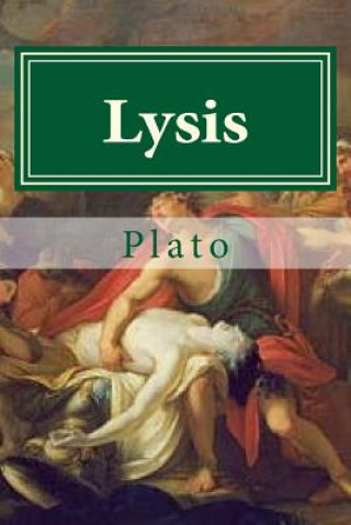 Książka Lysis Plato