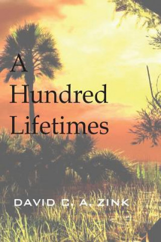 Buch A Hundred Lifetimes David C a Zink