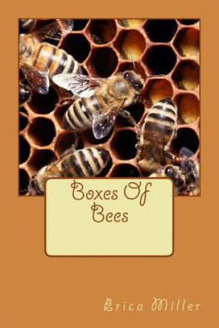 Buch Boxes Of Bees: And How I Came to Manage Them Erica Dawn Henry Miller