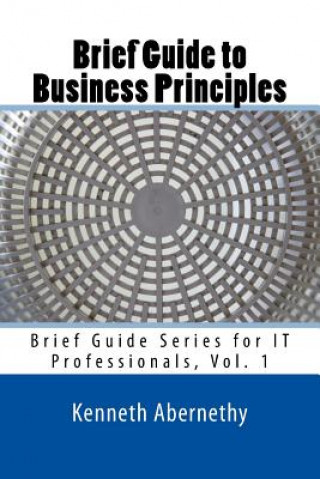Kniha Brief Guide to Business Principles: Brief Guide Series for IT Professionals, Vol. 1 Kenneth C Abernethy