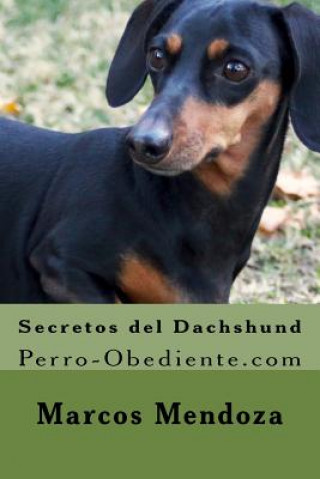 Carte Secretos del Dachshund: Perro-Obediente.com Marcos Mendoza