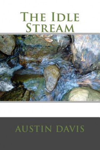 Boek The Idle Stream Austin W Davis
