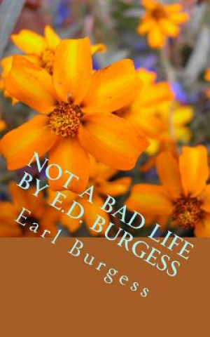 Könyv Not A Bad Life by E.D. Burgess Dennis Burgess