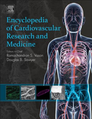 Kniha Encyclopedia of Cardiovascular Research and Medicine Douglas B. Sawyer