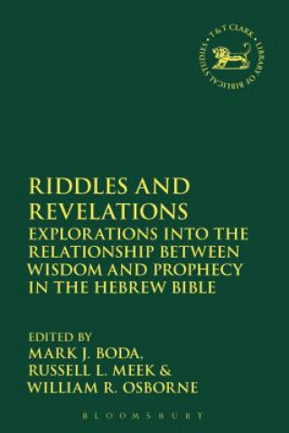 Kniha Riddles and Revelations BODA MARK J