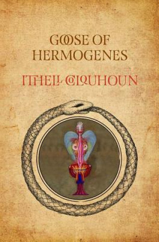 Книга Goose of Hermogenes Ithell Colquhoun