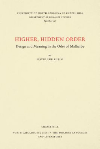 Kniha Higher, Hidden Order David Lee Rubin