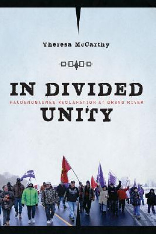 Knjiga In Divided Unity Theresa McCarthy
