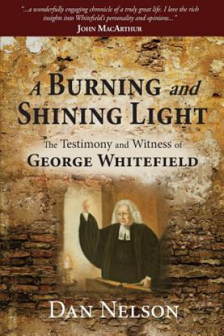 Boek Burning and Shining Light DAN NELSON