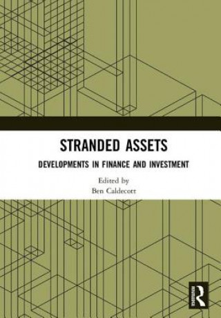 Book Stranded Assets Ben Caldecott