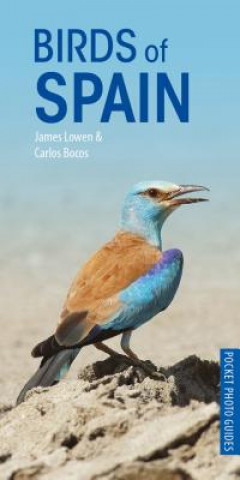 Kniha Birds of Spain Carlos Bocos Gonzalez