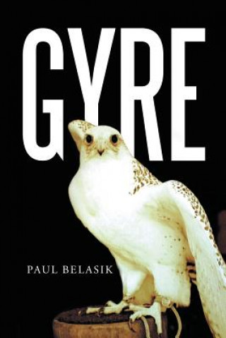 Книга Gyre Paul Belasik