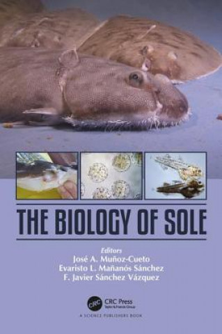 Kniha Biology of Sole 