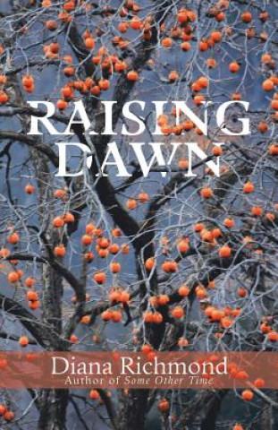 Buch Raising Dawn Diana Richmond