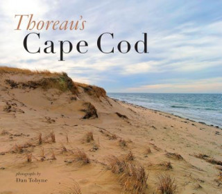 Carte Thoreau's Cape Cod Dan Tobyne