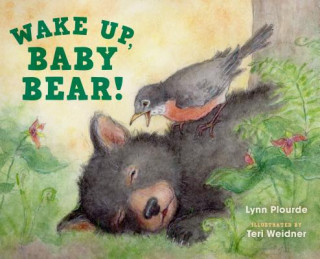 Knjiga Wake Up, Baby Bear! Lynn Plourde