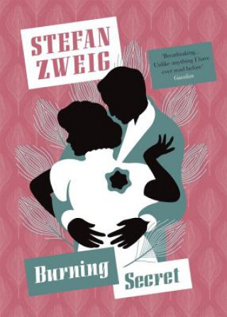 Kniha Burning Secret Stefan (Author) Zweig
