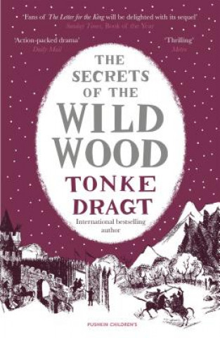 Kniha Secrets of the Wild Wood (Winter Edition) Tonke (Author) Dragt