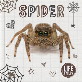 Kniha Spider Holly Duhig