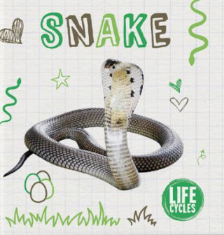 Kniha Snake Holly Duhig
