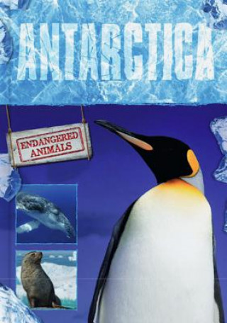 Книга Antarctica Grace Jones