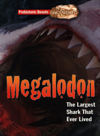 Buch Megaladon Ruth Owen