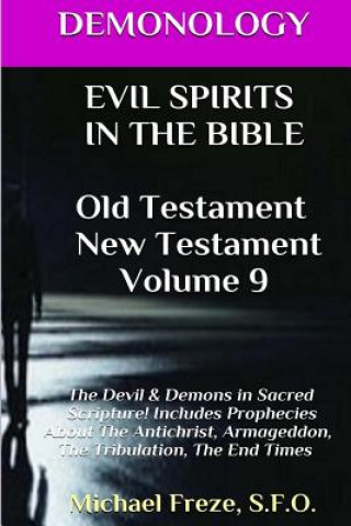 Carte DEMONOLOGY EVIL SPIRITS IN THE BIBLE Old Testament New Testament: Satan, Demons, Michael Freze