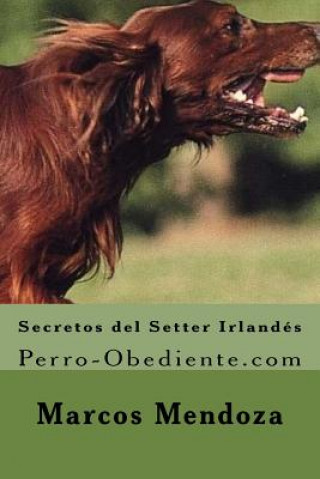 Carte Secretos del Setter Irlandes: Perro-Obediente.com Marcos Mendoza