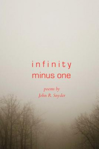 Book Infinity Minus One John R Snyder