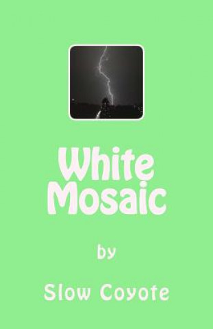 Kniha White Mosaic Slow Coyote