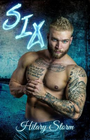 Book Six Hilary Storm