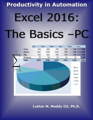 Könyv Excel 2016: The Basics - PC Luther M Maddy III