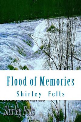 Buch Flood of Memories MS Shirley S Felts