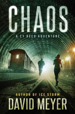 Kniha Chaos David Meyer
