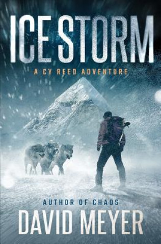 Livre Ice Storm David Meyer