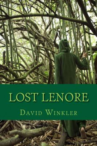 Kniha Lost Lenore MR David Winkler