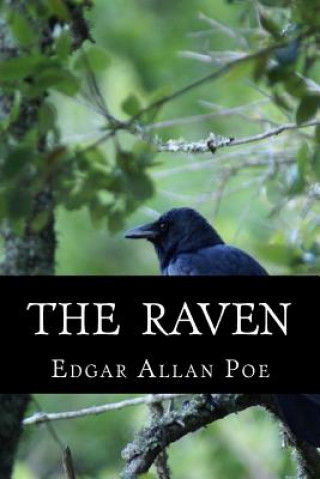 Knjiga The Raven Edgar Allan Poe