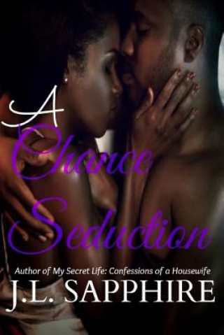 Kniha A Chance Seduction J L Sapphire