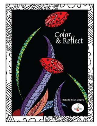 Buch Color & Reflect Roberta Braun Shapiro