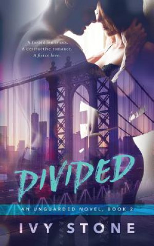 Книга Divided Ivy Stone